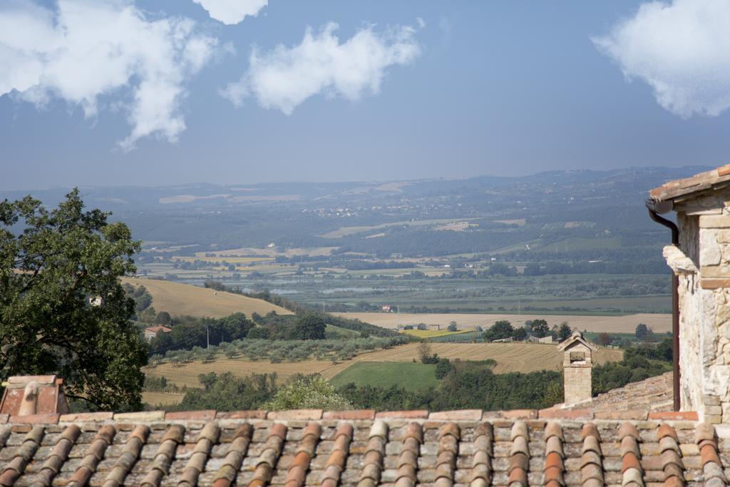 Luxury Villa Colle Dell'Asinello ,Proprietari ,Villa In Esclusiva Near Orvieto Guardea Exterior foto